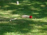 Barbecue 2015 - 091.jpg